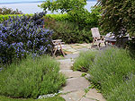 A Blue Ridge Garden