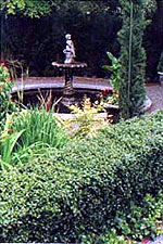 A Broadmoor Garden