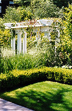 A Denny Blaine Garden