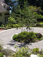 An East Lake Sammamish Garden
