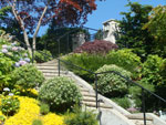 A Laurelhurst Hillside Garden