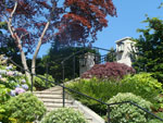A Laurelhurst Hillside Garden
